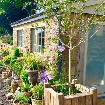 Lavender Cottage Gloucester Exteriér fotografie