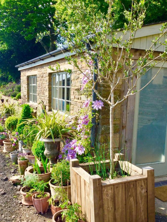 Lavender Cottage Gloucester Exteriér fotografie
