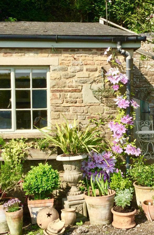 Lavender Cottage Gloucester Exteriér fotografie