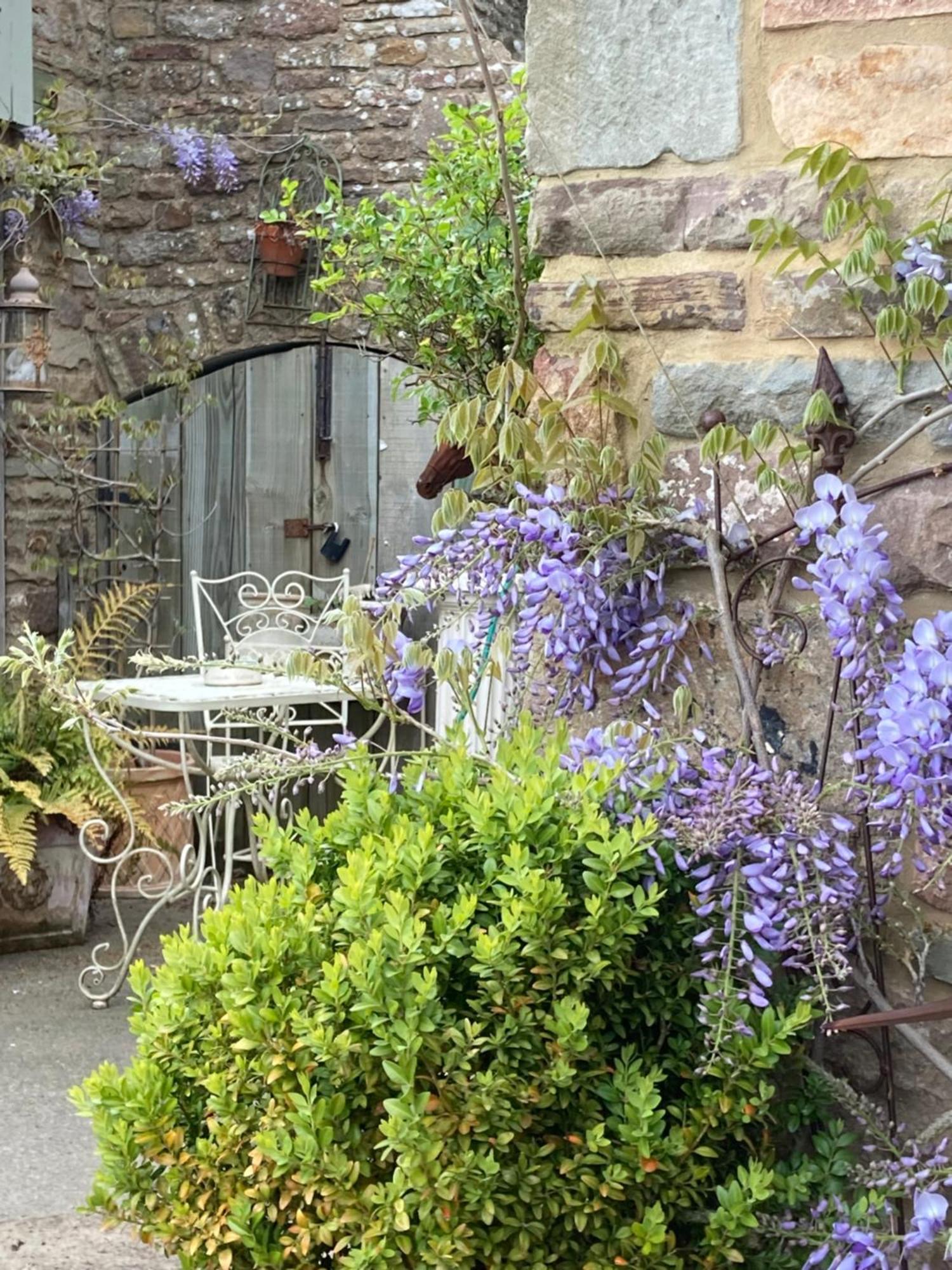 Lavender Cottage Gloucester Exteriér fotografie